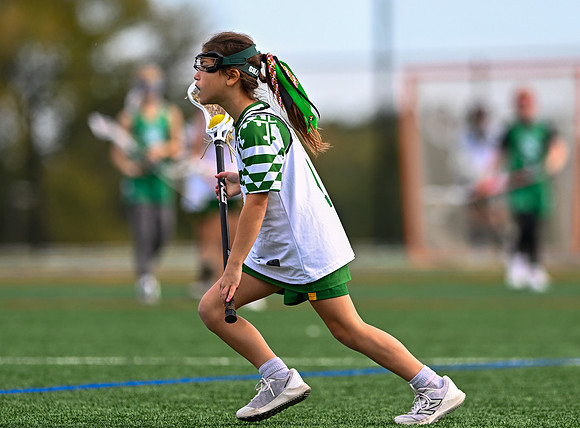 Shamrocks03893
