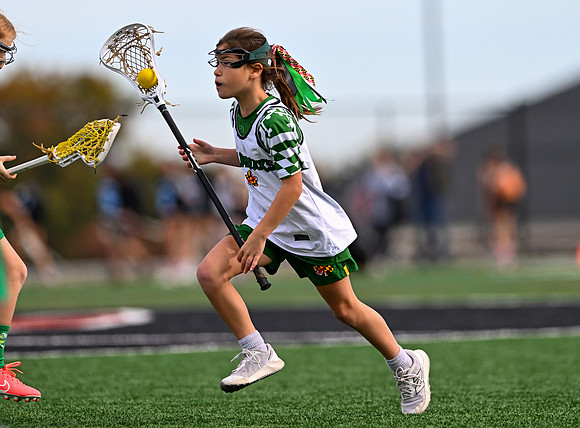 Shamrocks03895