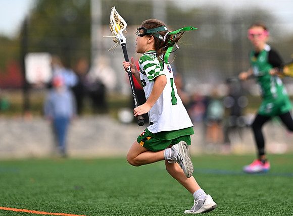 Shamrocks03896