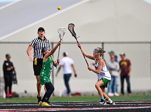 Shamrocks03899