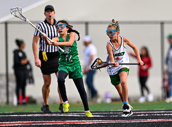 Shamrocks03900