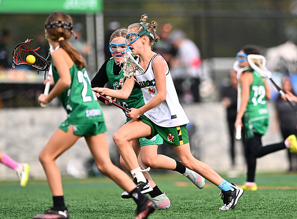 Shamrocks03901