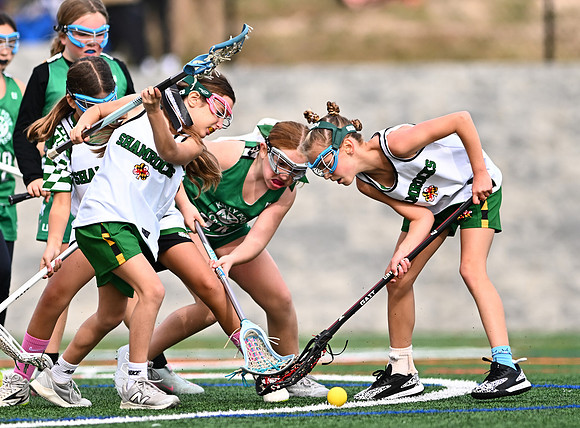 Shamrocks03903