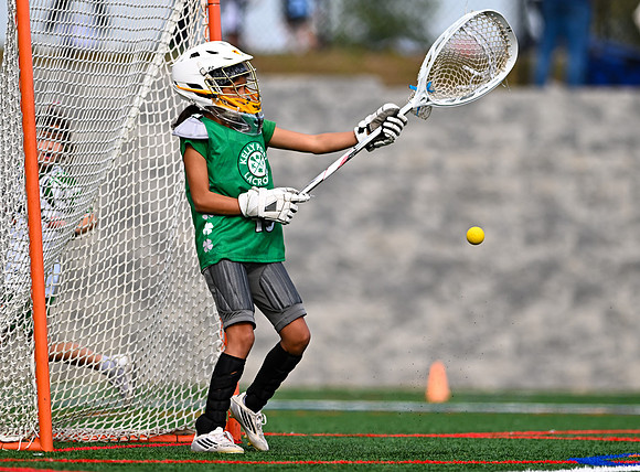 Shamrocks03902