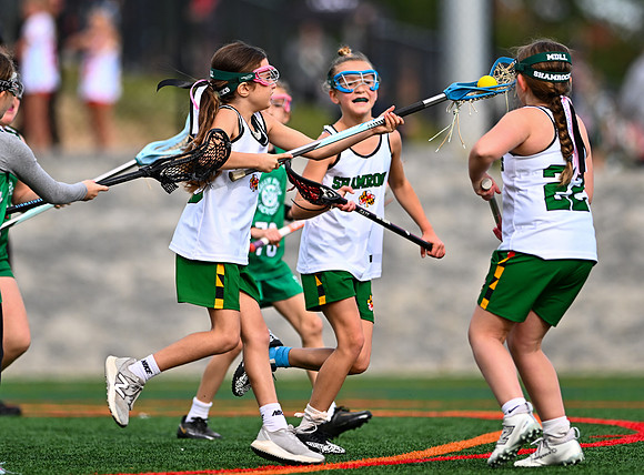 Shamrocks03904