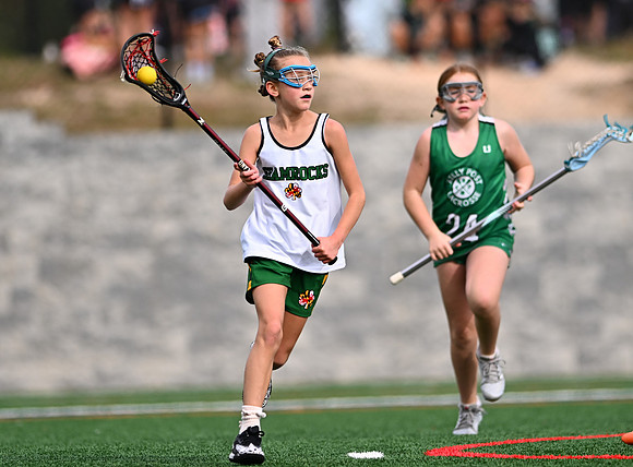 Shamrocks03905