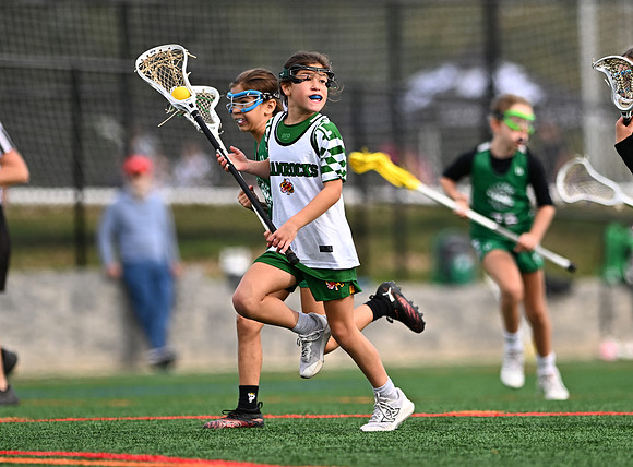 Shamrocks03909