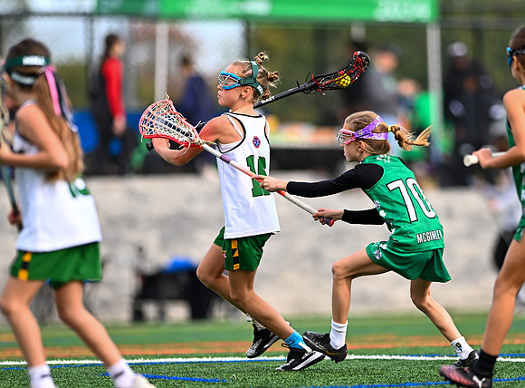 Shamrocks03907