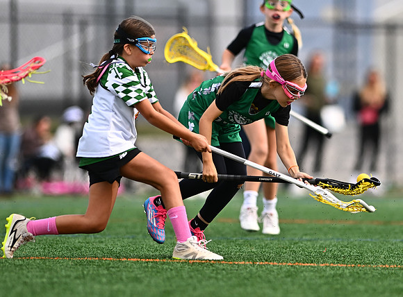 Shamrocks03911