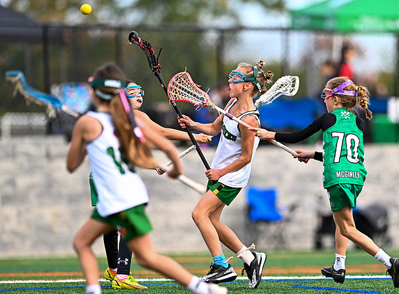 Shamrocks03908