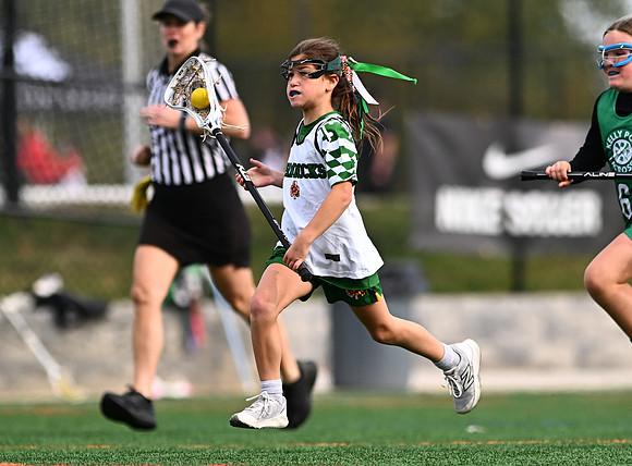 Shamrocks03913
