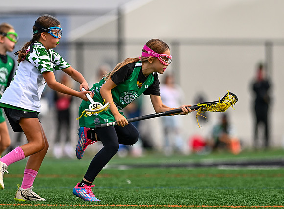 Shamrocks03912