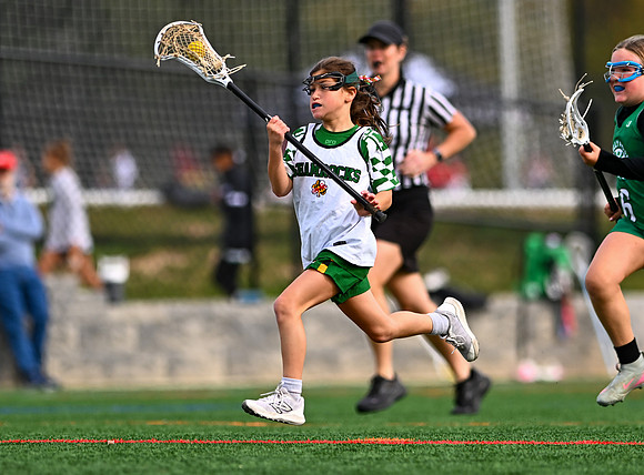 Shamrocks03914