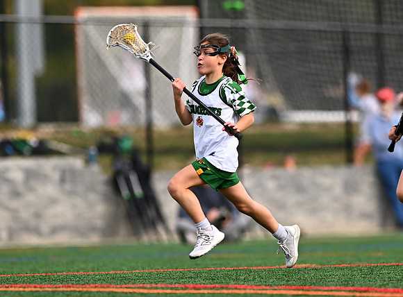 Shamrocks03915
