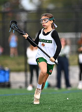 Shamrocks03917