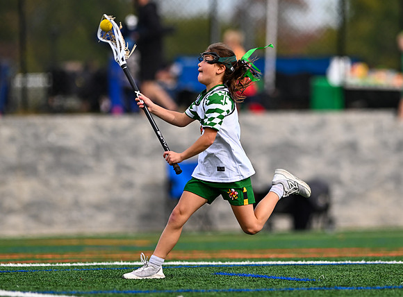 Shamrocks03916