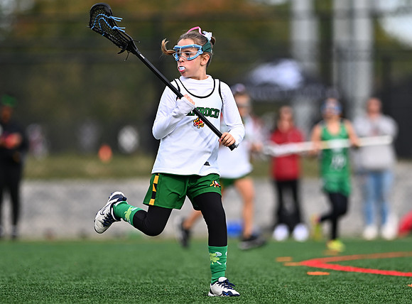 Shamrocks03918