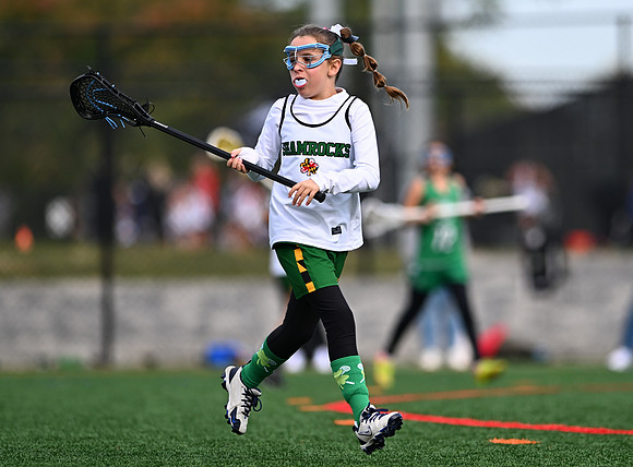 Shamrocks03919