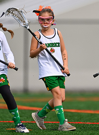 Shamrocks03920