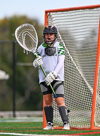 Shamrocks03922