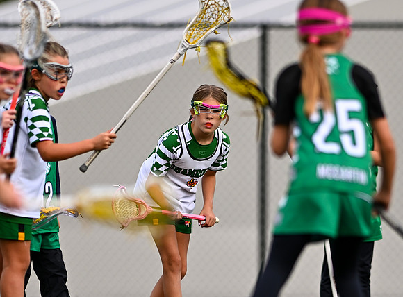 Shamrocks03928