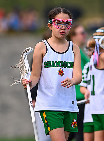 Shamrocks03930