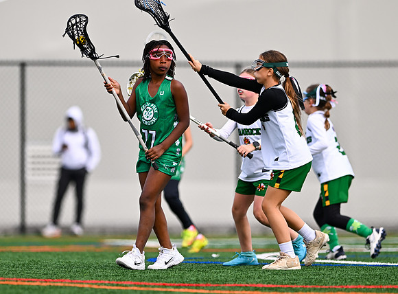 Shamrocks03927