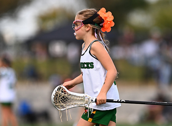 Shamrocks03931