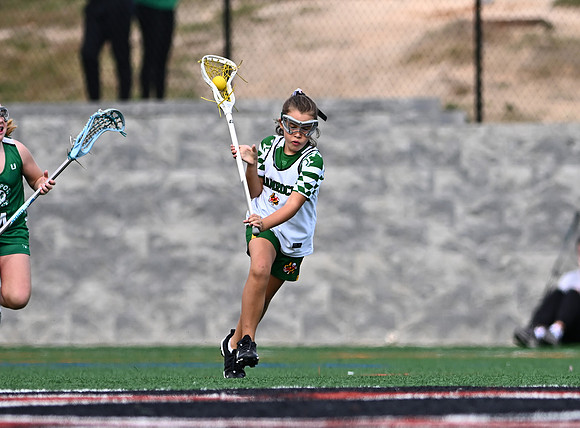 Shamrocks03936