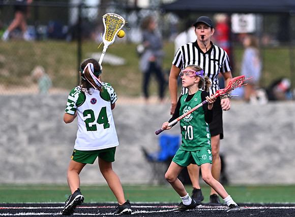 Shamrocks03935