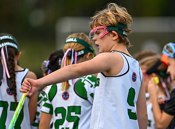 Shamrocks03933