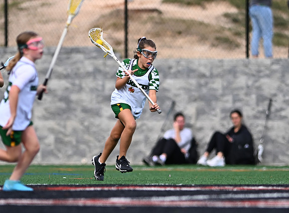 Shamrocks03937