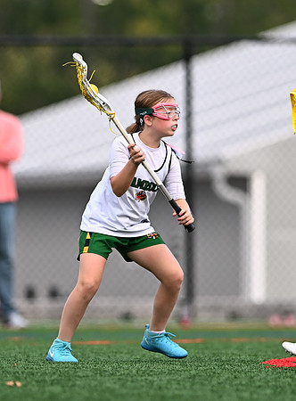 Shamrocks03939
