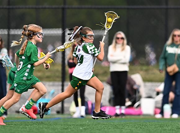 Shamrocks03938