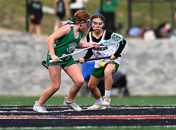 Shamrocks03944