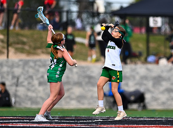 Shamrocks03943