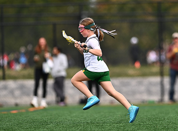 Shamrocks03942