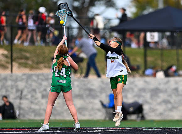 Shamrocks03945