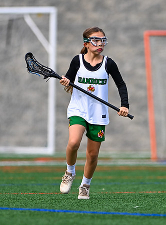 Shamrocks03947