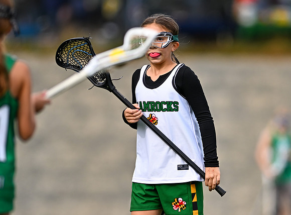 Shamrocks03948