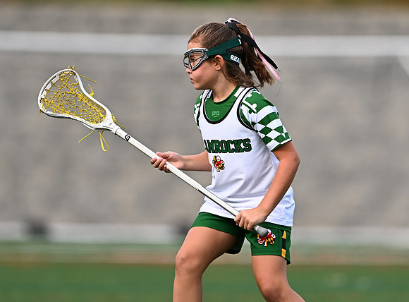 Shamrocks03949