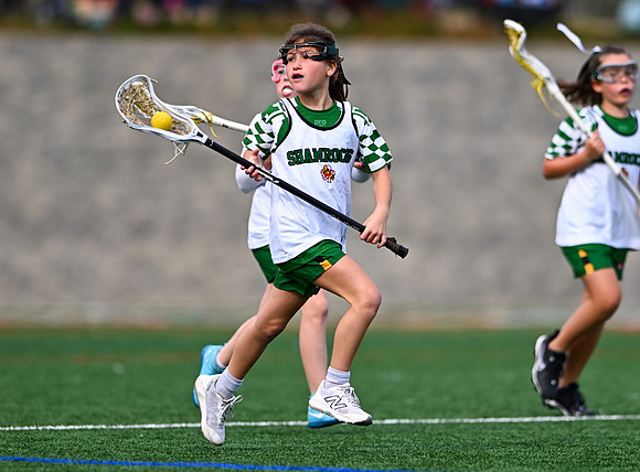 Shamrocks03950