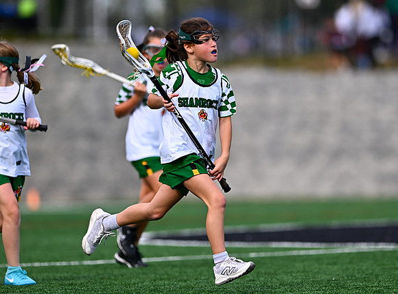 Shamrocks03951