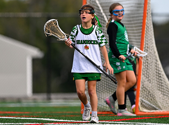 Shamrocks03952