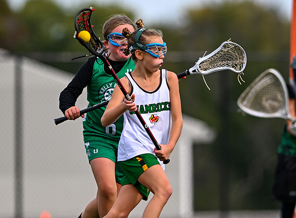 Shamrocks03956