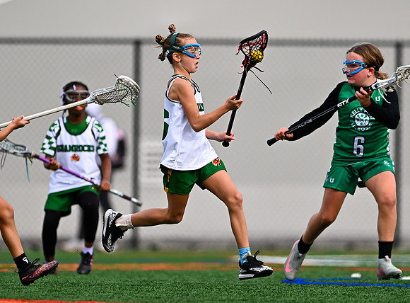 Shamrocks03955