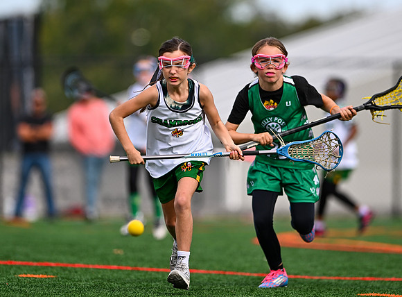 Shamrocks03959