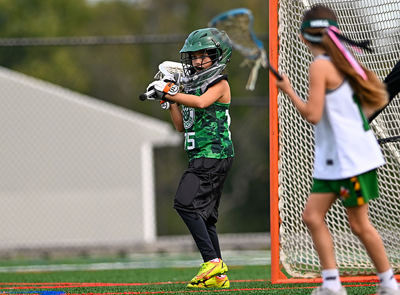 Shamrocks03962