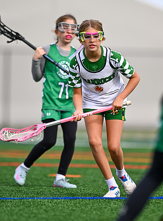 Shamrocks03960