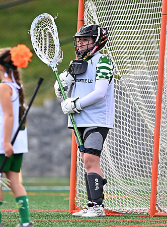 Shamrocks03963